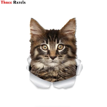 

Three Ratels FTC-1045 3D Maine Coon Kitty Cat Wall Decals Toilet Sticker Car Window and Bumper