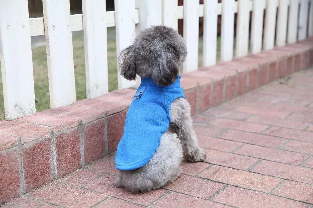 Летний жилет-одежда для собак, футболка, цветные товары для собак, товары для домашних животных, цветастые Блузы собачий костюм для щенка, рубашки