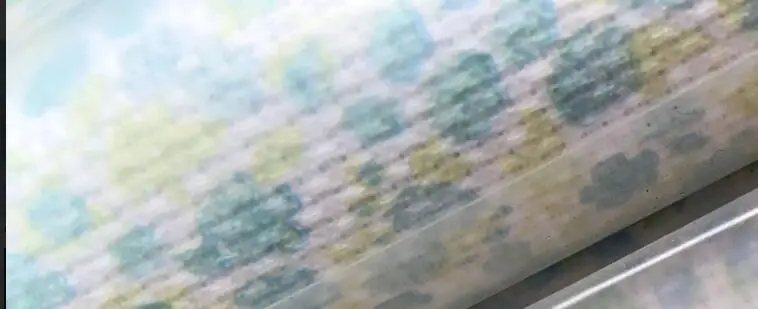 DMC ткань/aida хлопок 14CT 30*30 см Вышивка крестом Аида холст ткань 25 цветов на выбор - Цвет: PHOTOES