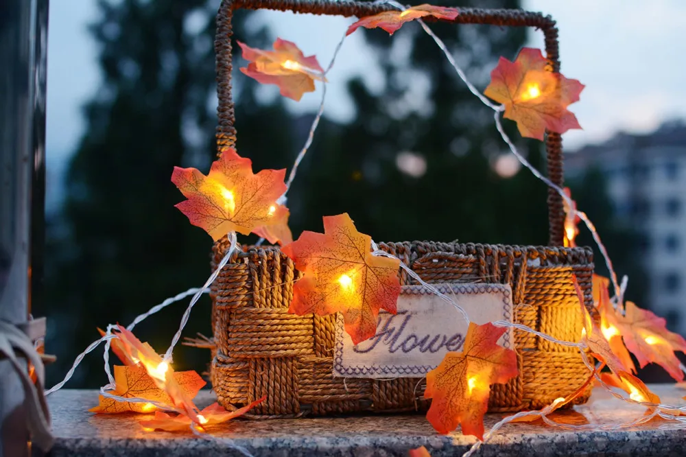 11824771063_1545766993