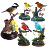 Electric Simulation Voice Control Parrot Toy Musical Magpie Talking Electronic Pet Bird Model Decoration Children'S Toy Gift 6