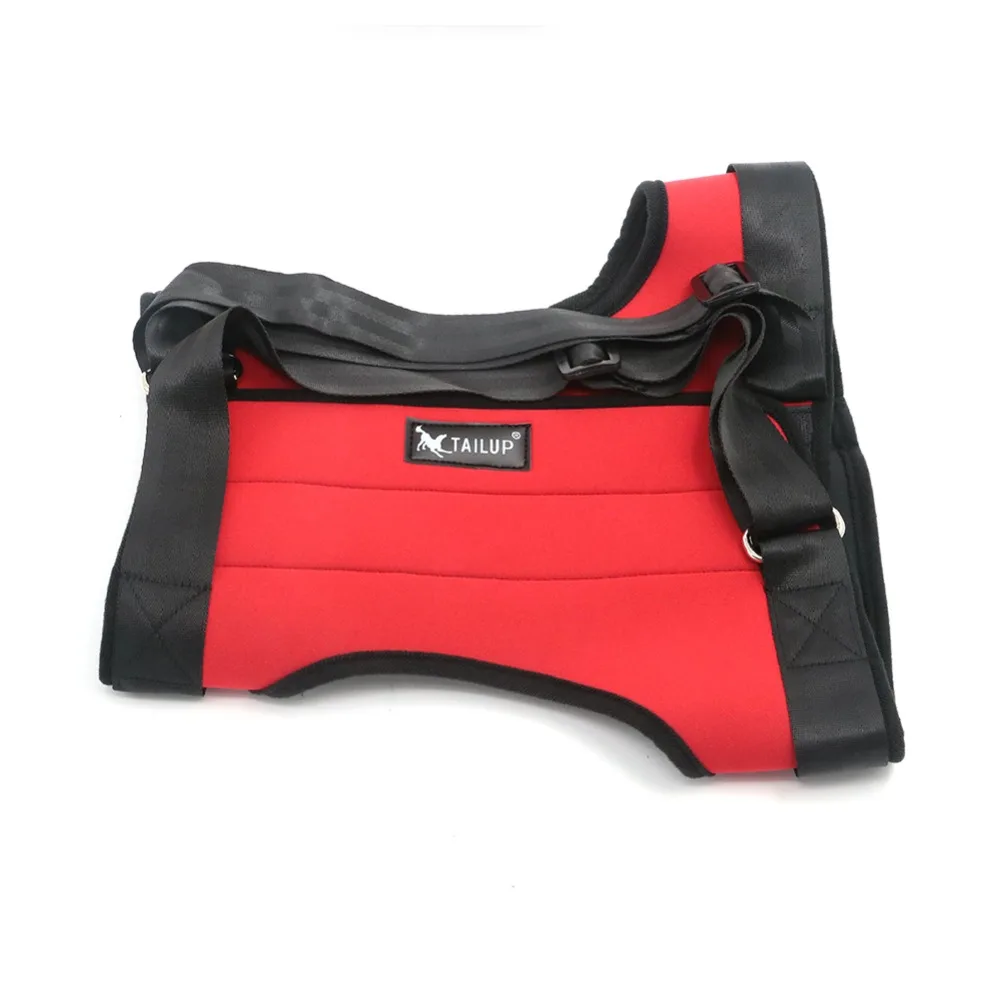 PD-Belt-RR (1)