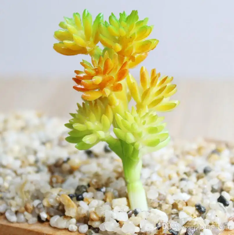 Charming Faux Artificial Succulent Plants Emulational Cactus Plants for Office Home Table Desk Garden Displayed Mini Flower Decoration