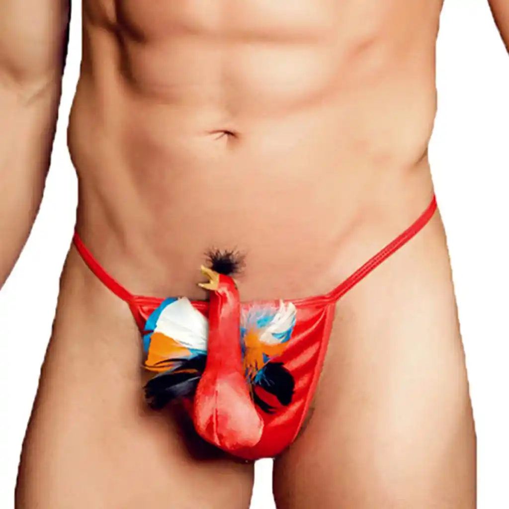 Funny male thongs Clearance