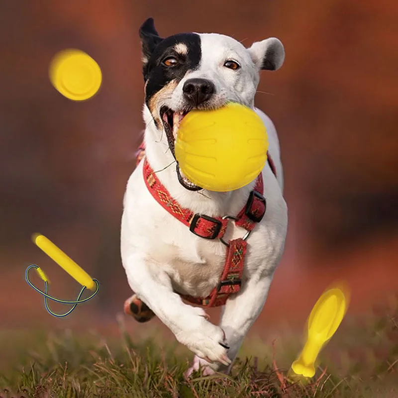 

Amphibious Dog Toys Flying Discs/Ball with Rope/Chew Toy Ring EVA Pet Toy For Dogs Interactive Ball For Small/Large Dogs Cats