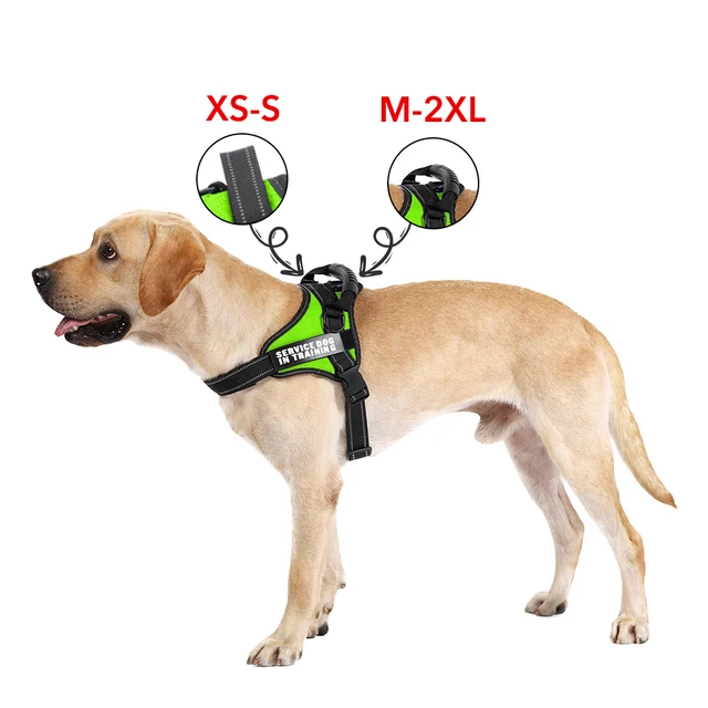 Dadugo Dog Harness Personalized Dog Tags Reflective Adjustable Pet Harness  For Puppy Medium Large Dog Animals Drop Shipping - Collars, Harnesses &  Leads - AliExpress