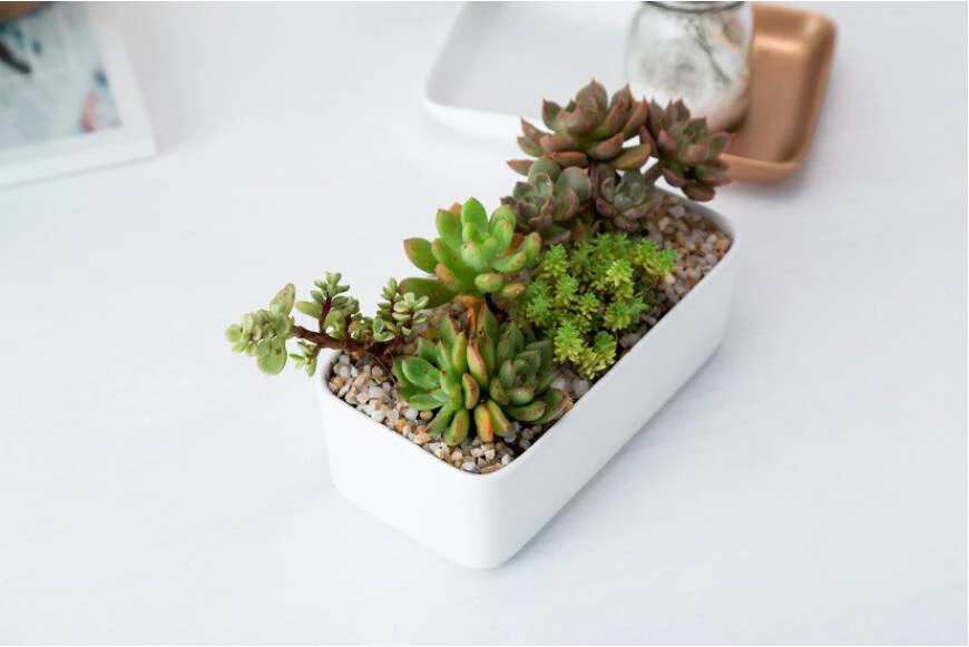 QQ截图20190814103423