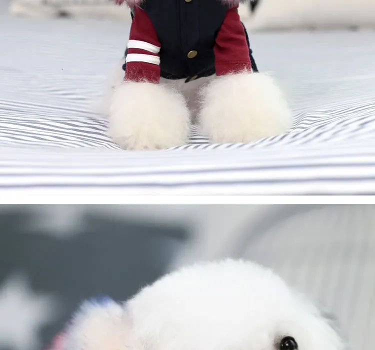 Luxury Fur Dog Clothes (5)