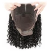 Lace Wigs