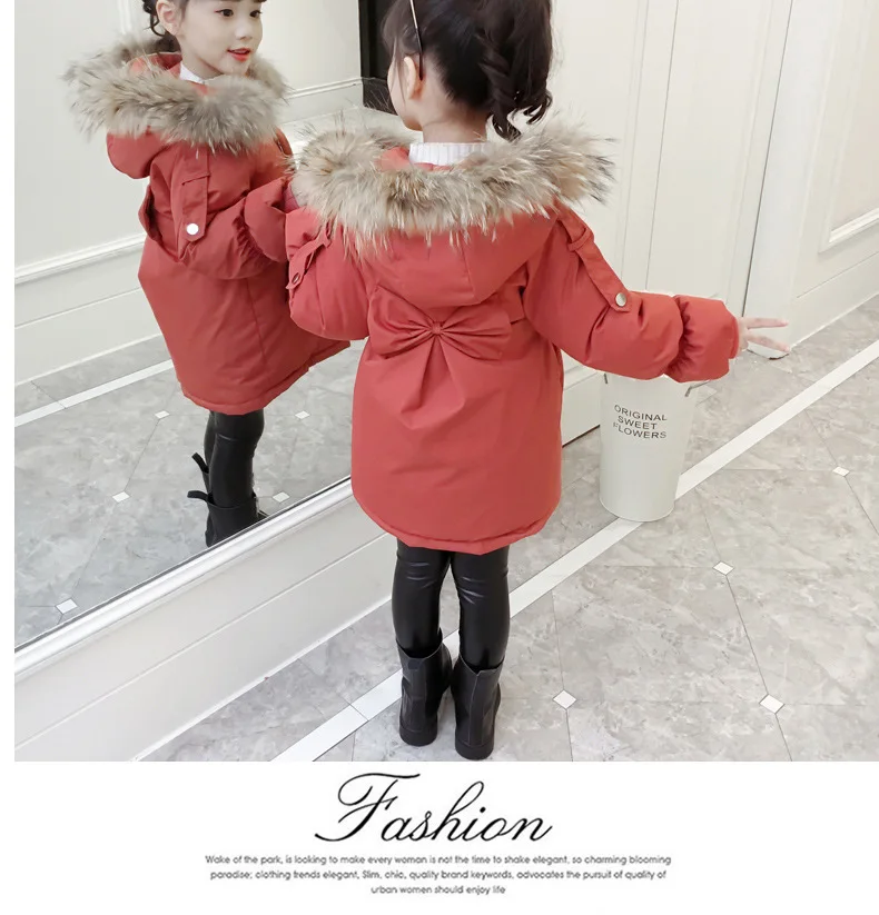 11663518616_847570584