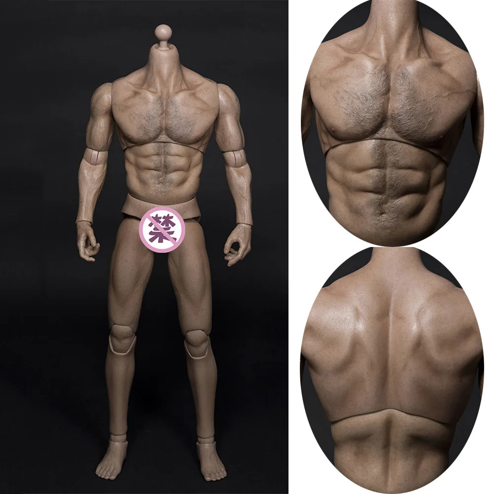 1/6 Scale WorldBox AT011 Male Body Model scale Broad Shoulder Figure Accessory 