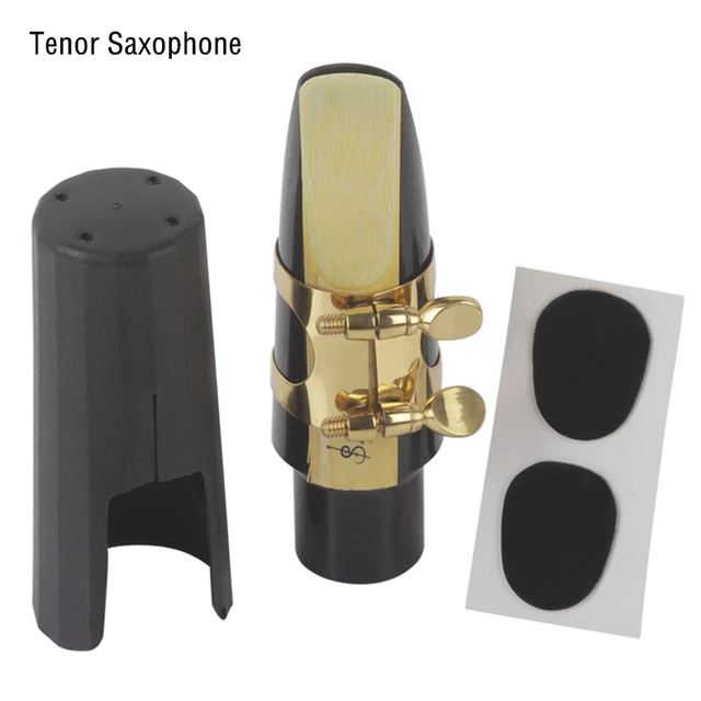 ensemble bec sax Saxophone alto Saxophone ABS Embouchure avec capuchon  Boucle en métal Reed Pads Instruments de musique