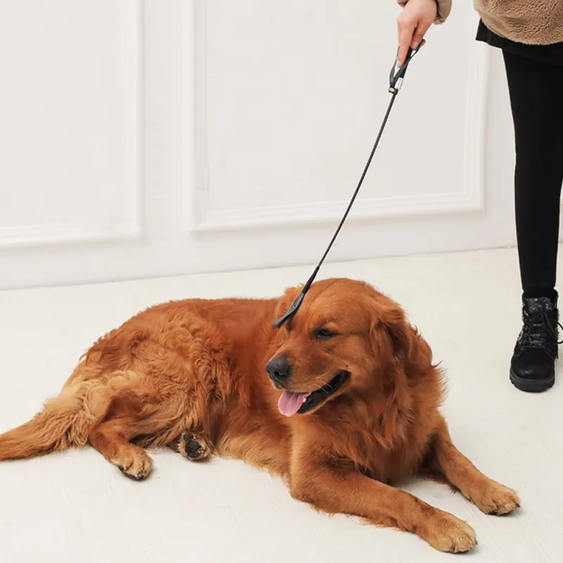 Длинные ручки черный собака дрессировка взбивает управление собачьим характером палка для верховой езды тренировочный инструмент