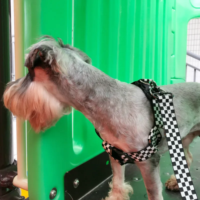 Черный и белый checkerboadr плед pet che ремень плюс ошейник Собачий Поводок Веревка металлическая пряжка звено сильная для больших и мощных собак