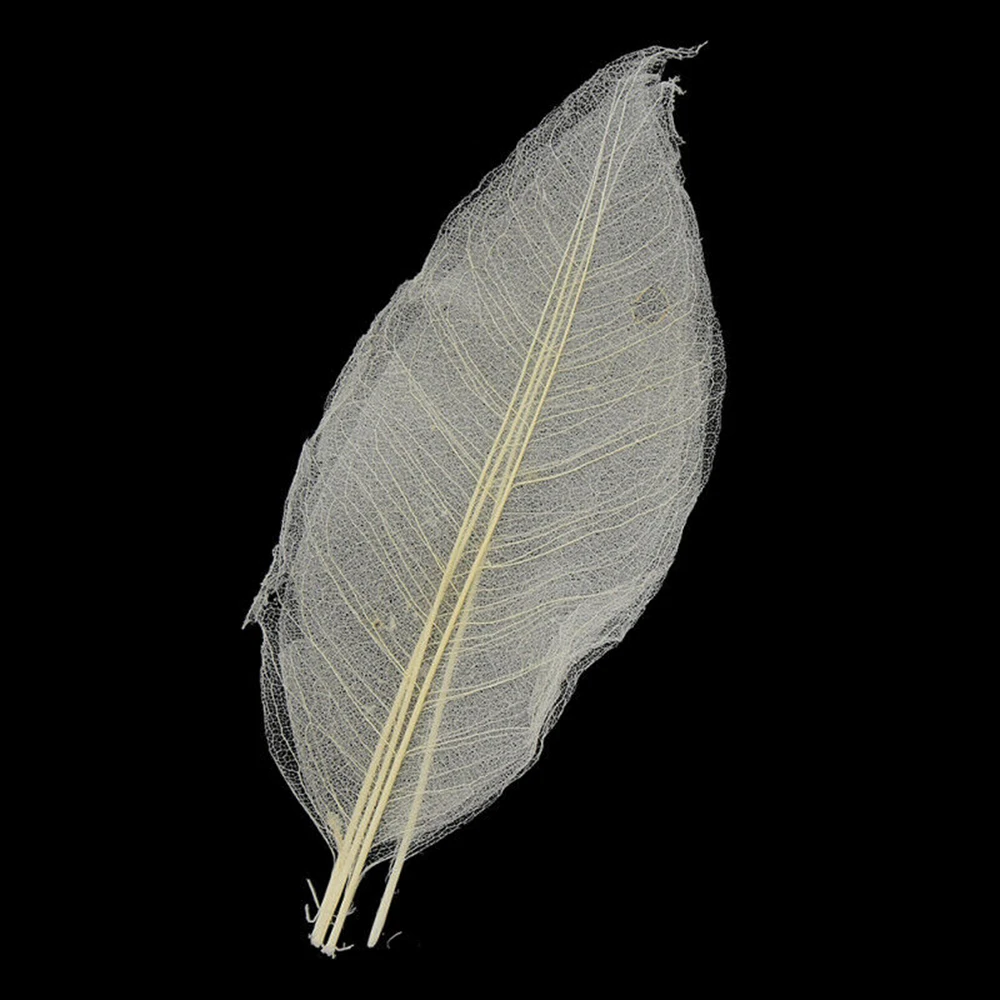 CHY1538-C8
