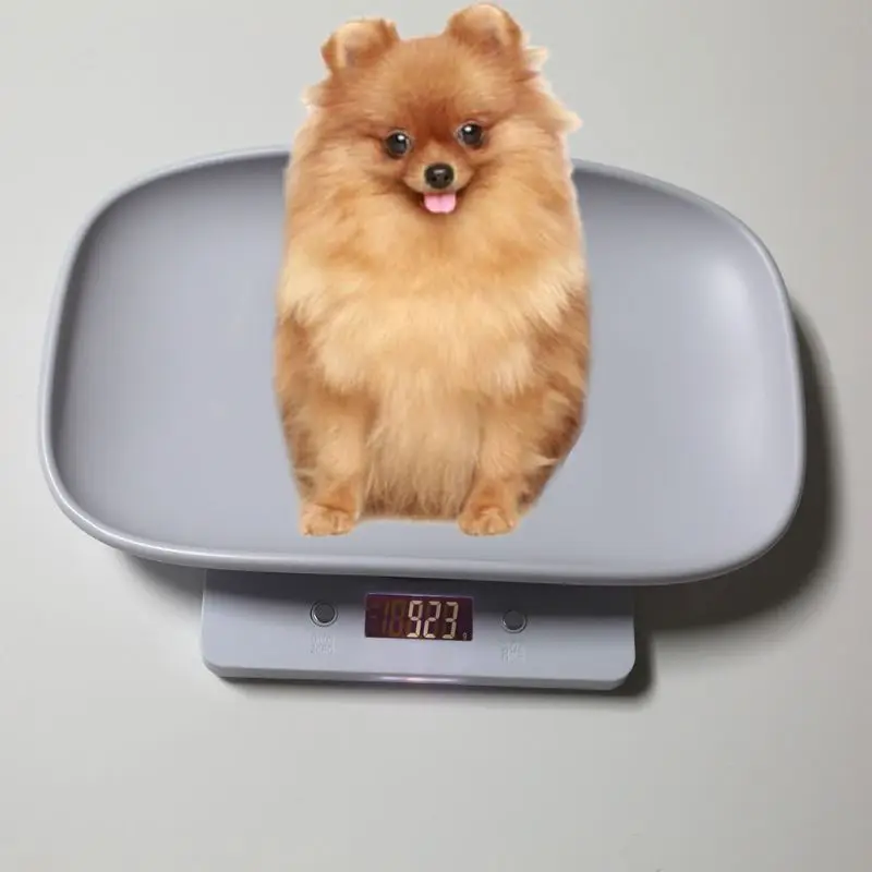 1 г-10 кг весы для домашних животных, собак, кошек, животных цифровые детские весы для младенцев(кг/унции/фунты) lcd 94 шт