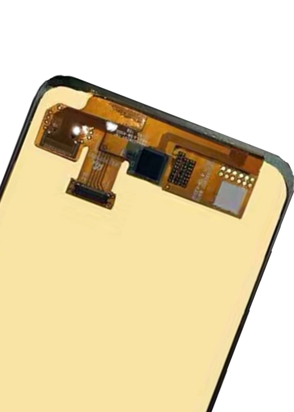 微信图片_20191226162937_副本_副本