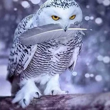 Снежная Сова 5D алмазная живопись полная квадратная дрель домашний декор DIY Алмазная вышивка Стразы мозаичная картина с логотипом на заказ