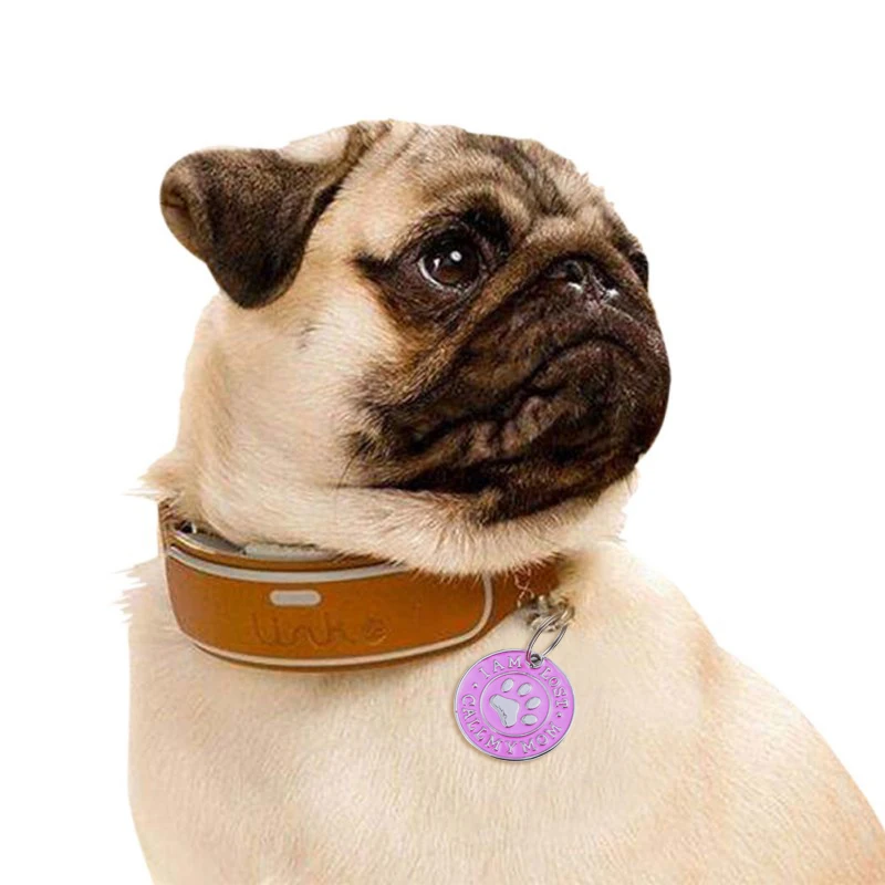 Анти-потерянный жетон с гравировкой собака украшения на шею персонализированные кошки щенка ID бирка из нержавеющей стали лапы имя кулоны с надписью