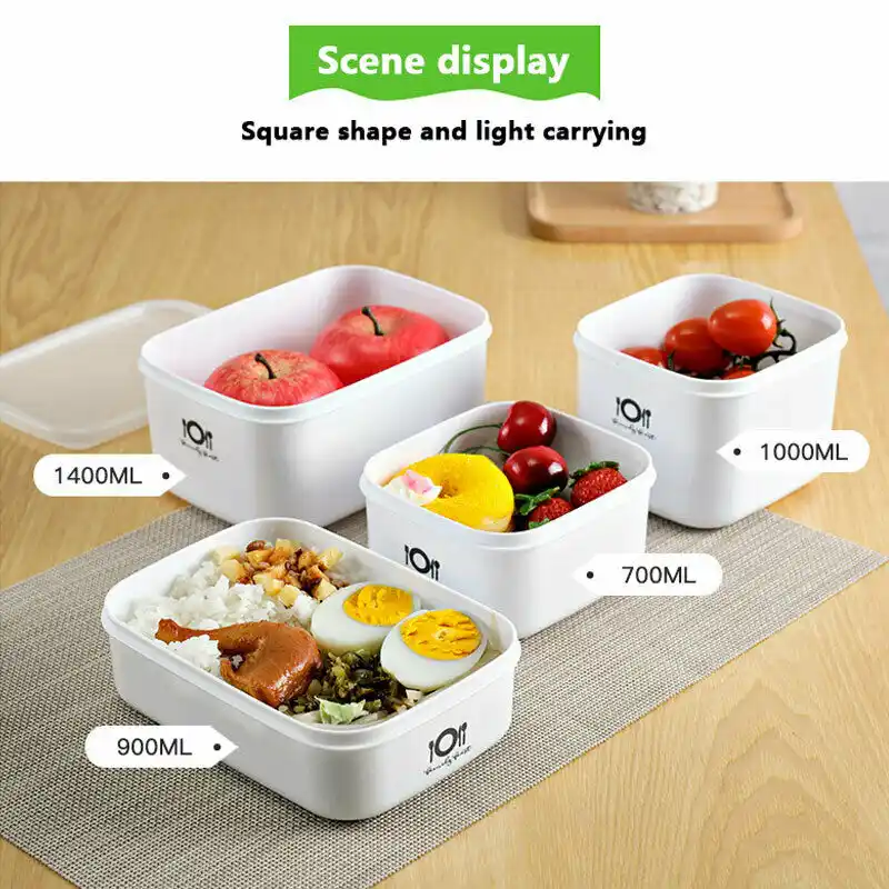 adult lunch containers