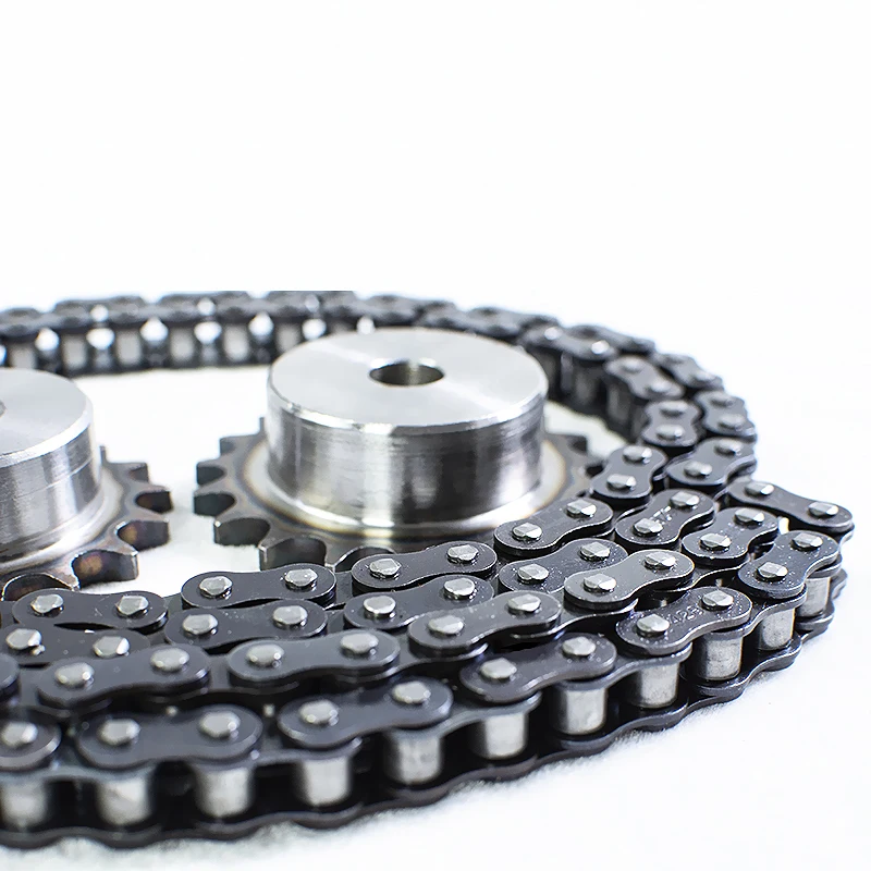 10 11 12 13 14 15 16 17 18 19 30 dentes 02