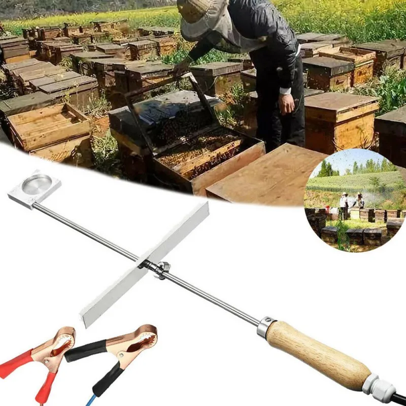  1 Set 12V 150W Bee Vaporizer Oxalic Acid Vaporizer Varroa Treatment Beekeeping Tools Beekeeper Bee 