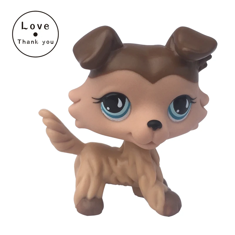 Lps cat pet shop игрушки колли собака #893 шоколадный крем голубые слезы глаза щенок