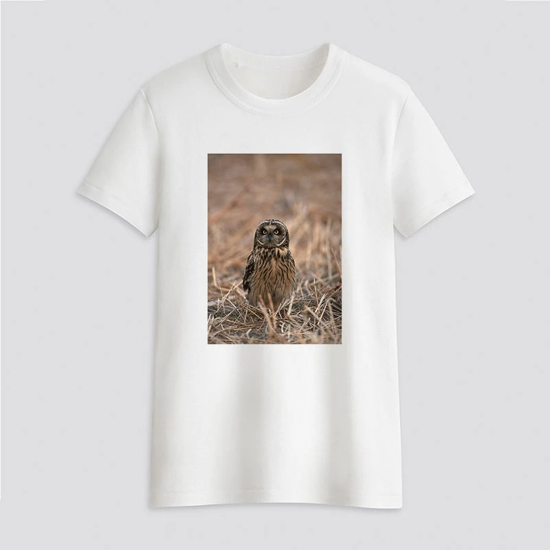 Women's T-shirt Owl live shot Print T-shirt Clothes White TShirt Harajuku Graphic T-shirt Fashion Landscape T-shirt Female
