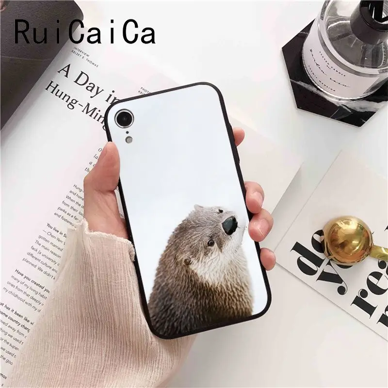 lovely cute Otter water animal