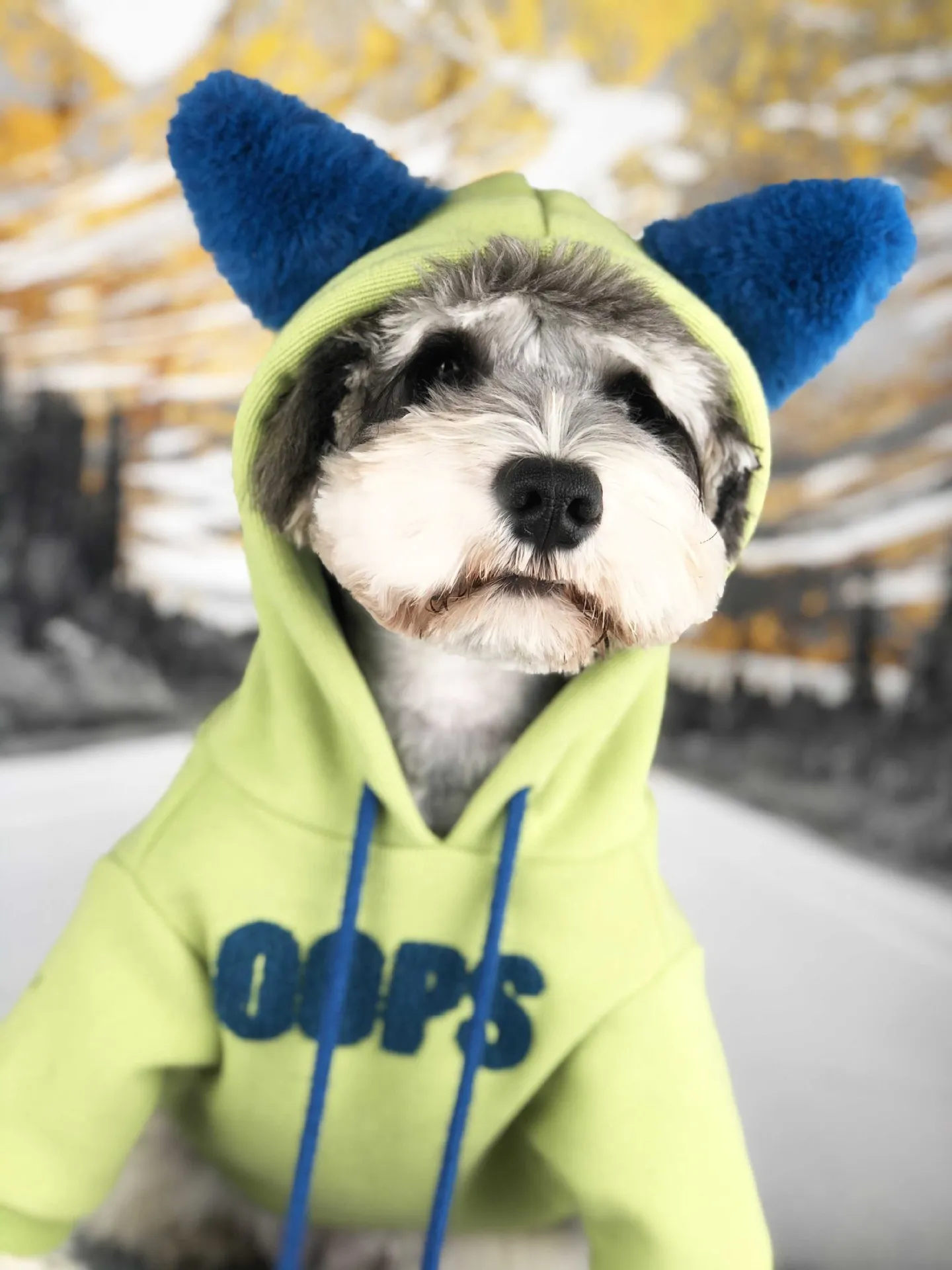 Schnauzer флисовая толстовка с капюшоном для собак, Милая зимняя одежда для собак, теплая верхняя одежда с капюшоном для щенков, флисовый шар для терьера, мопса, Тедди, дропшиппинг