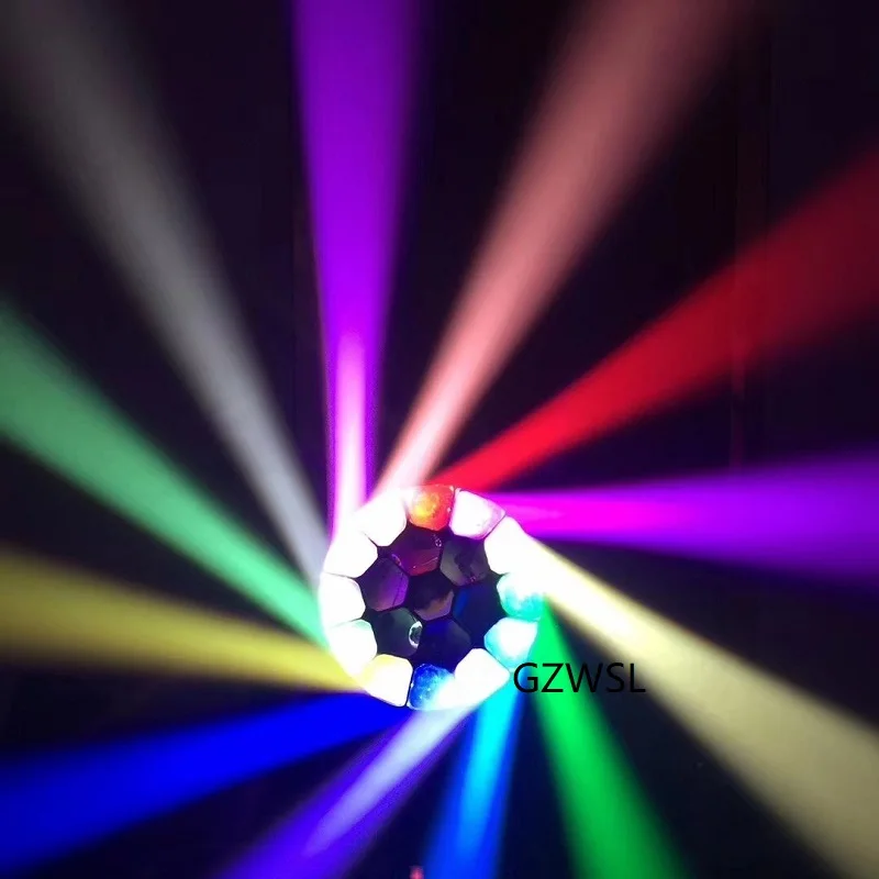 bee eye moving head  (1)