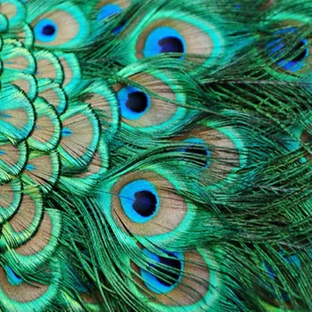 

JMINE Div 5D peacock feathers Full Diamond Painting cross stitch kits art High Quality Scenic 3D paint by diamonds