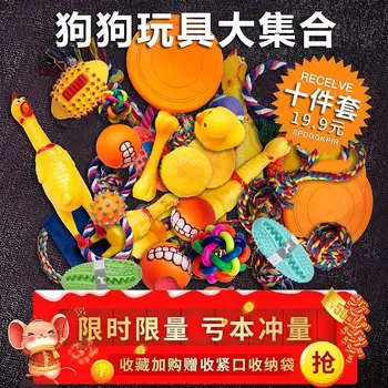 

Pet Dog Dog Toy Bite Resistant Molar Sound Making Puppy Toy Ball Teddy Puppy Golden Retriever Training Boredom Dog Supplies