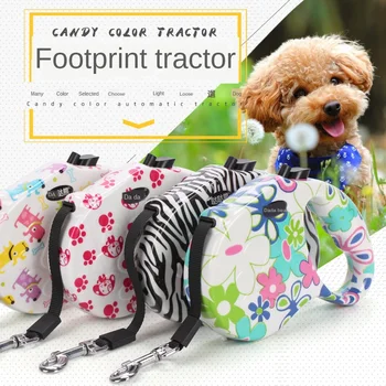 

Pet Traction Rope Dada Bear Footprint Color Automatic Retractable Tractor Dog Rope 5m Dog Supplies