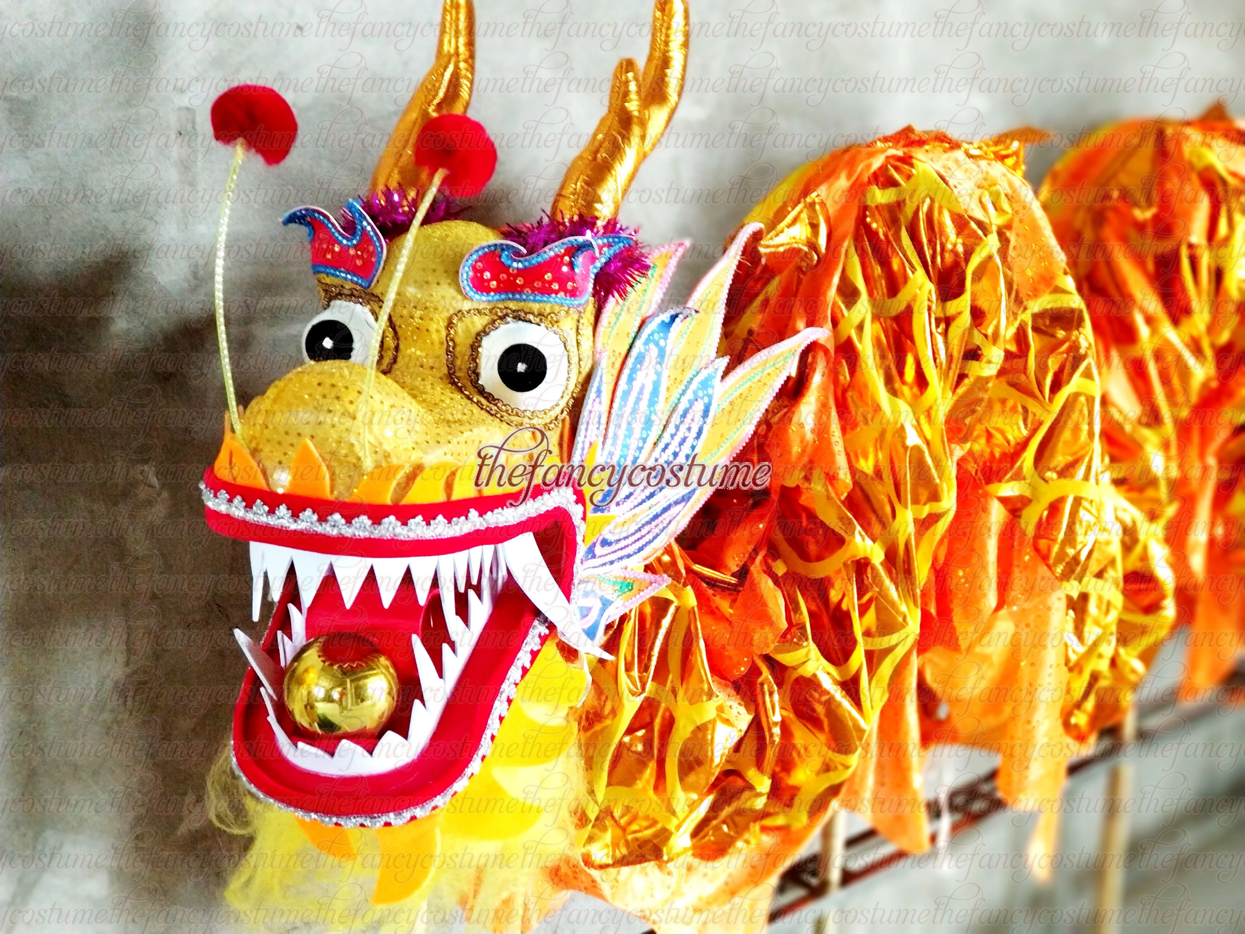 Homemade Chinese Dragon Costume