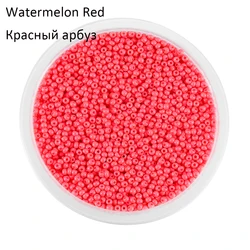 Vibrant Multicolor Czech Glass Seed Beads - 1000Pcs x 2mm (Watermelon Red)