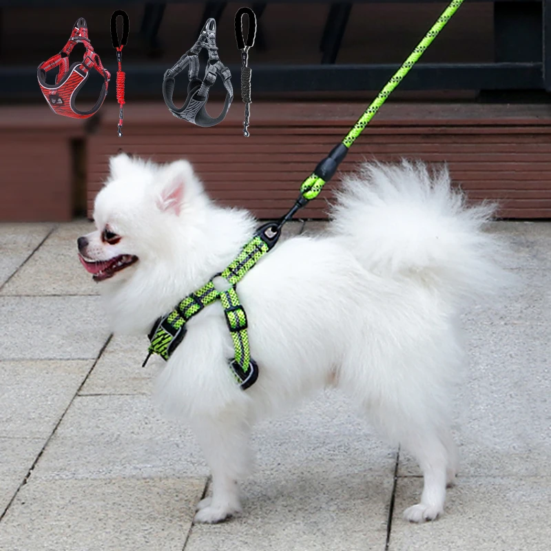 Cozy Soft Pet Dog Harness and Leash Set for Small Medium Dogs