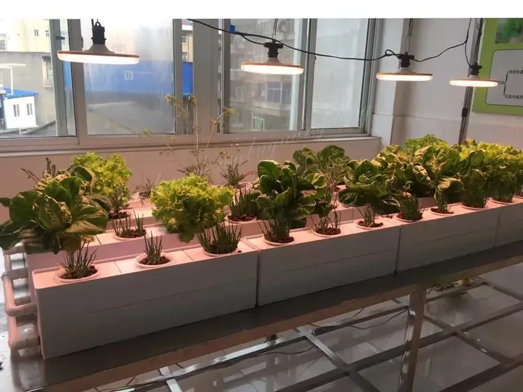 Carpa Mastergrow Cob Apollo Coberta Groeilampen растущий Гидропоника битки палатка Cultivo Kweek для растений коробка Крытый светодиодный светильник для выращивания