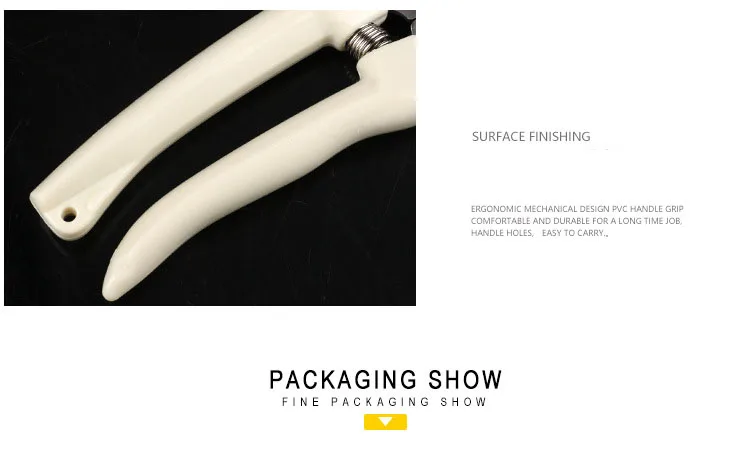 3119959409_598991726