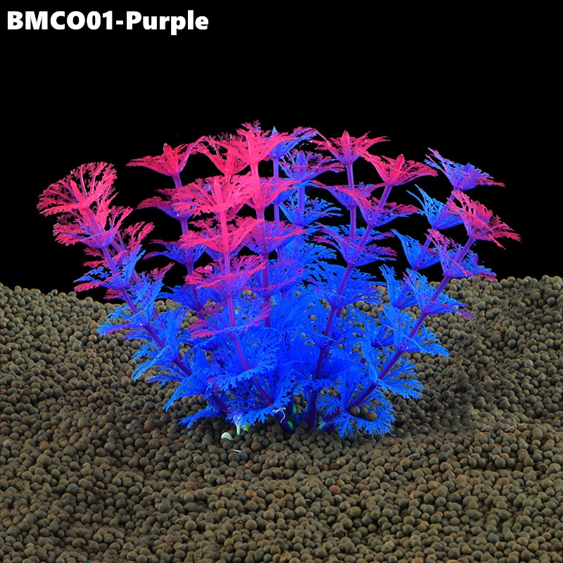 BMCO02 (5)