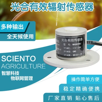 

Plant Photosynthetic Effective Sensor Waterproof Photosynthesis Effective Radiation Transmitter Photon Meter in Greenhouse