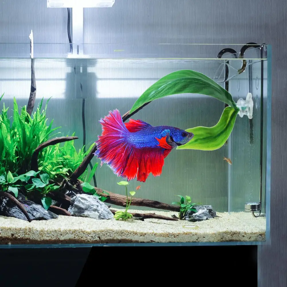 Искусственный Betta растительный лист гамак Аквариум Украшение тропическая рыба подстилка для кошек тент складной двухслойный декоративный лист