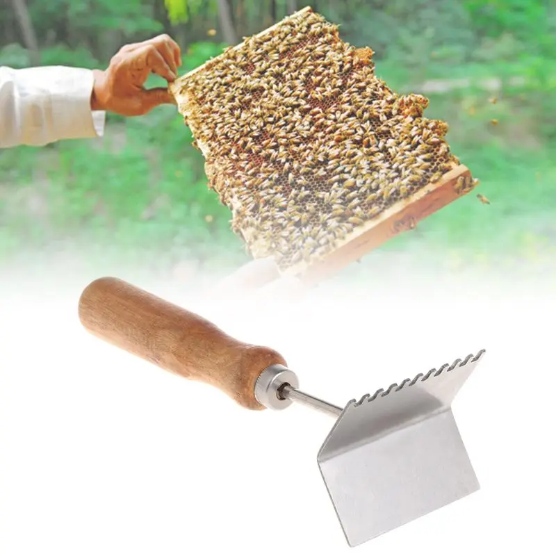 Чехол для пчел, лопата, инструменты для пчеловодства, чистящий чехол, s очиститель, совок, оборудование для пчеловодов, улей, деревянная ручка, нержавеющая сталь