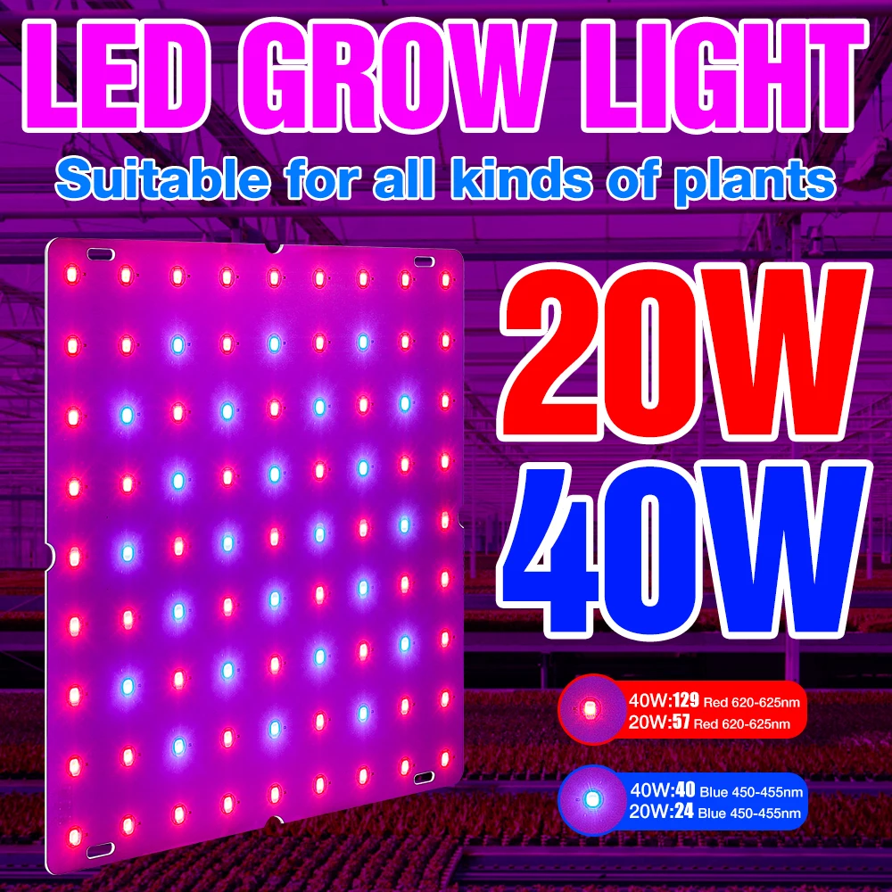 

BiaRiTi Phyto Lamp EU US UK Plug Hydroponics Grow Tent LED plants Light 20W 40W Seedling Fito Lamp LED Full Spectrum Seed Ampoul