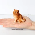Persian cat A