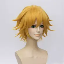 Аниме чудесный Божья коровка чат Нуар косплей парик