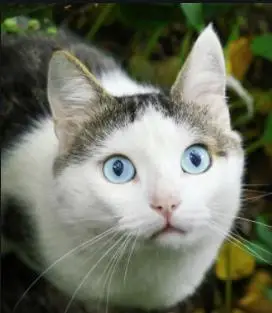 360截图20191226205503710