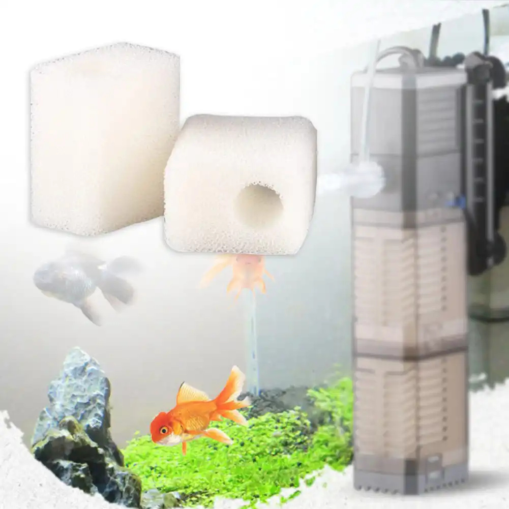 fish pump pets at home