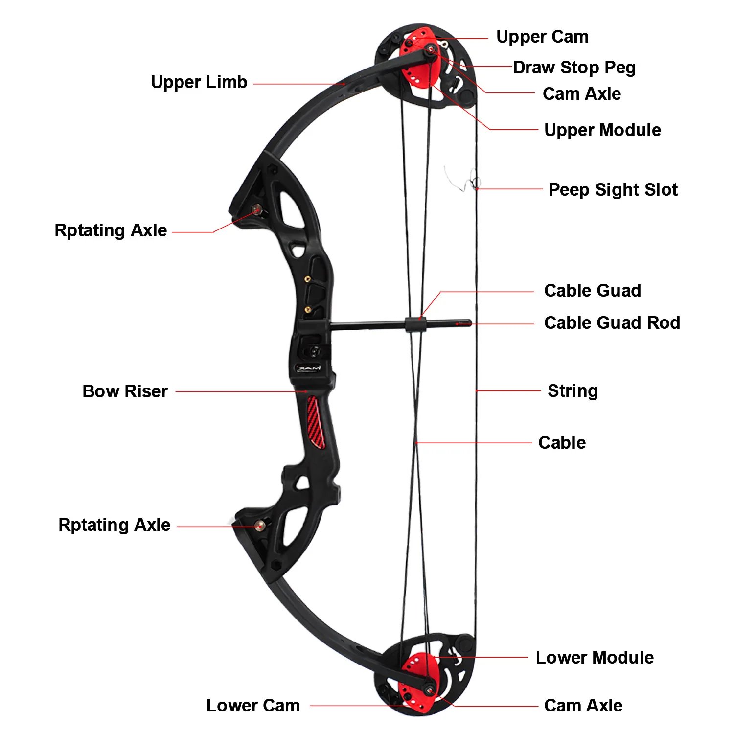 Composto para Adolescentes e Crianças Equipamento de Caça Tiro com Arco Fora com Velocidade Arco Twin Ajustável 19 -28 65% Deixar Máxima 260fps Cam 15-29lbs 22 Caça Tiro Com Arco 65% Deixar Fora com Velocidade Máxima 260fps