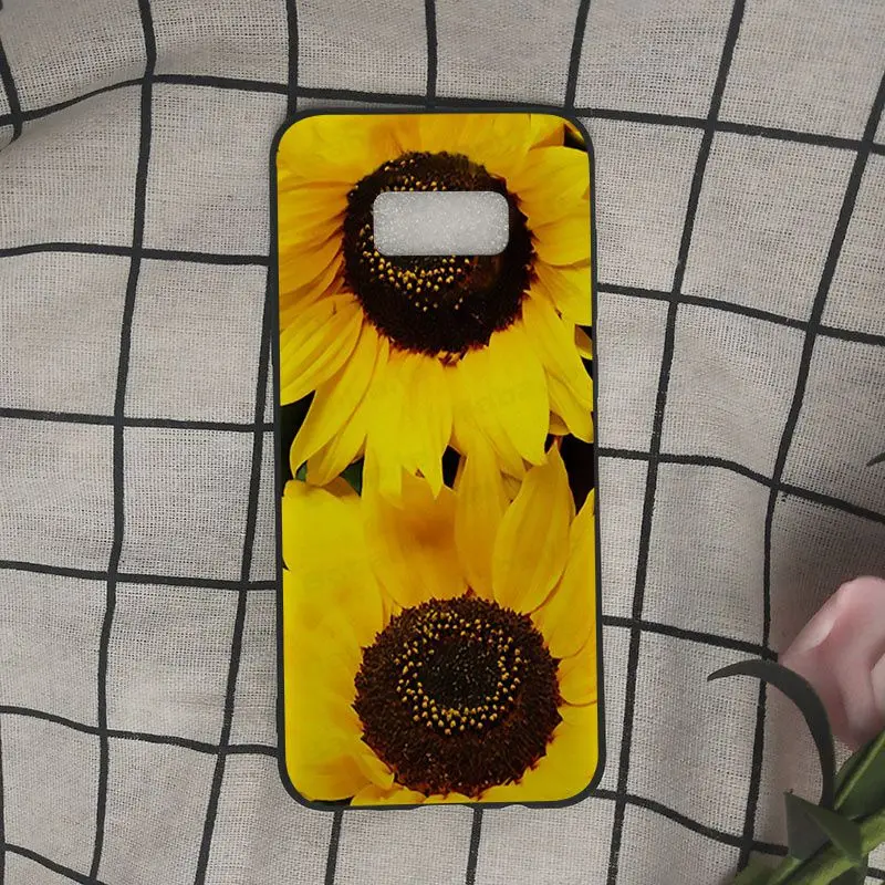 daisy Sunflower